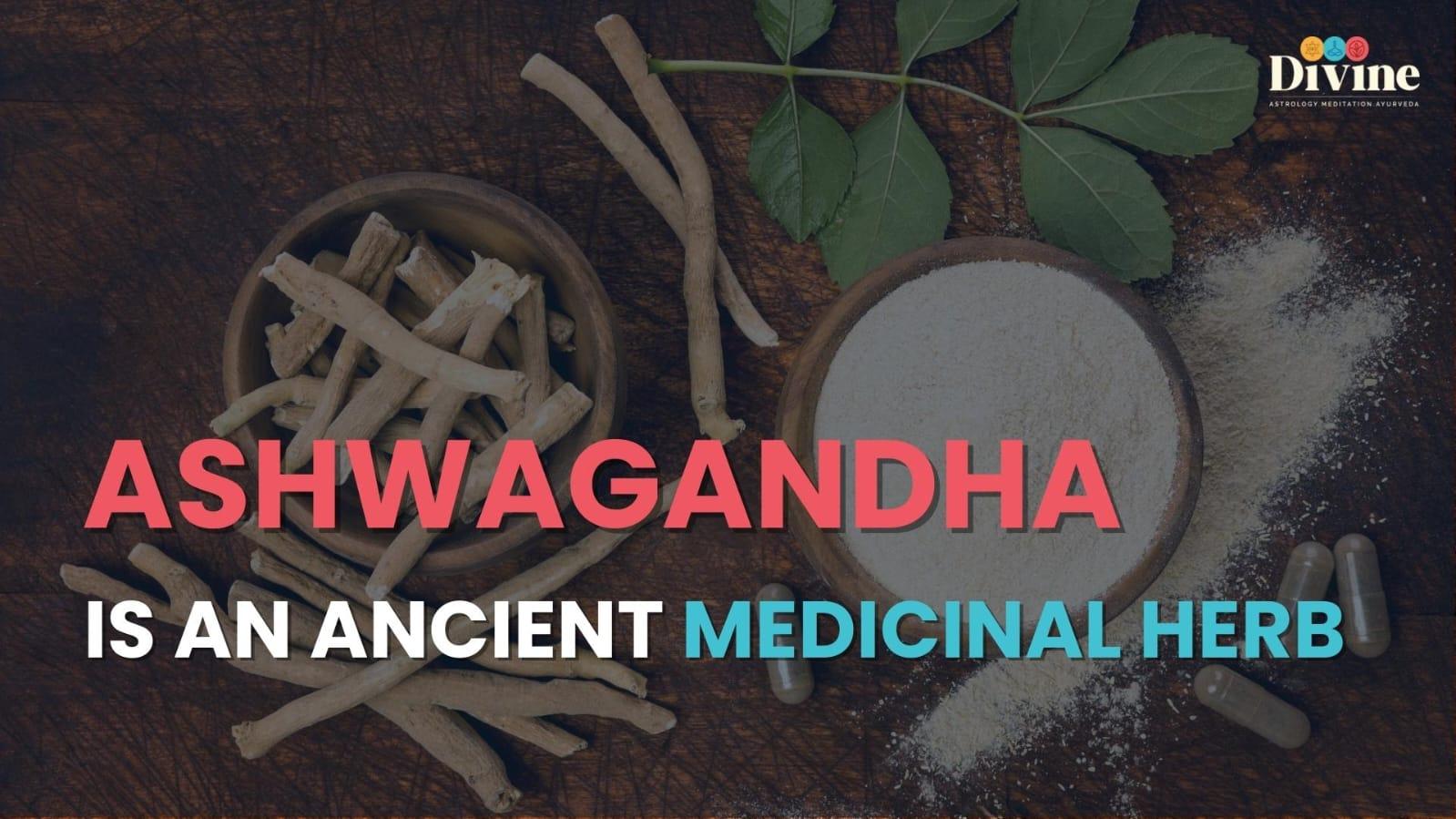 Ashwagandha Is An Ancient Medicinal Herb