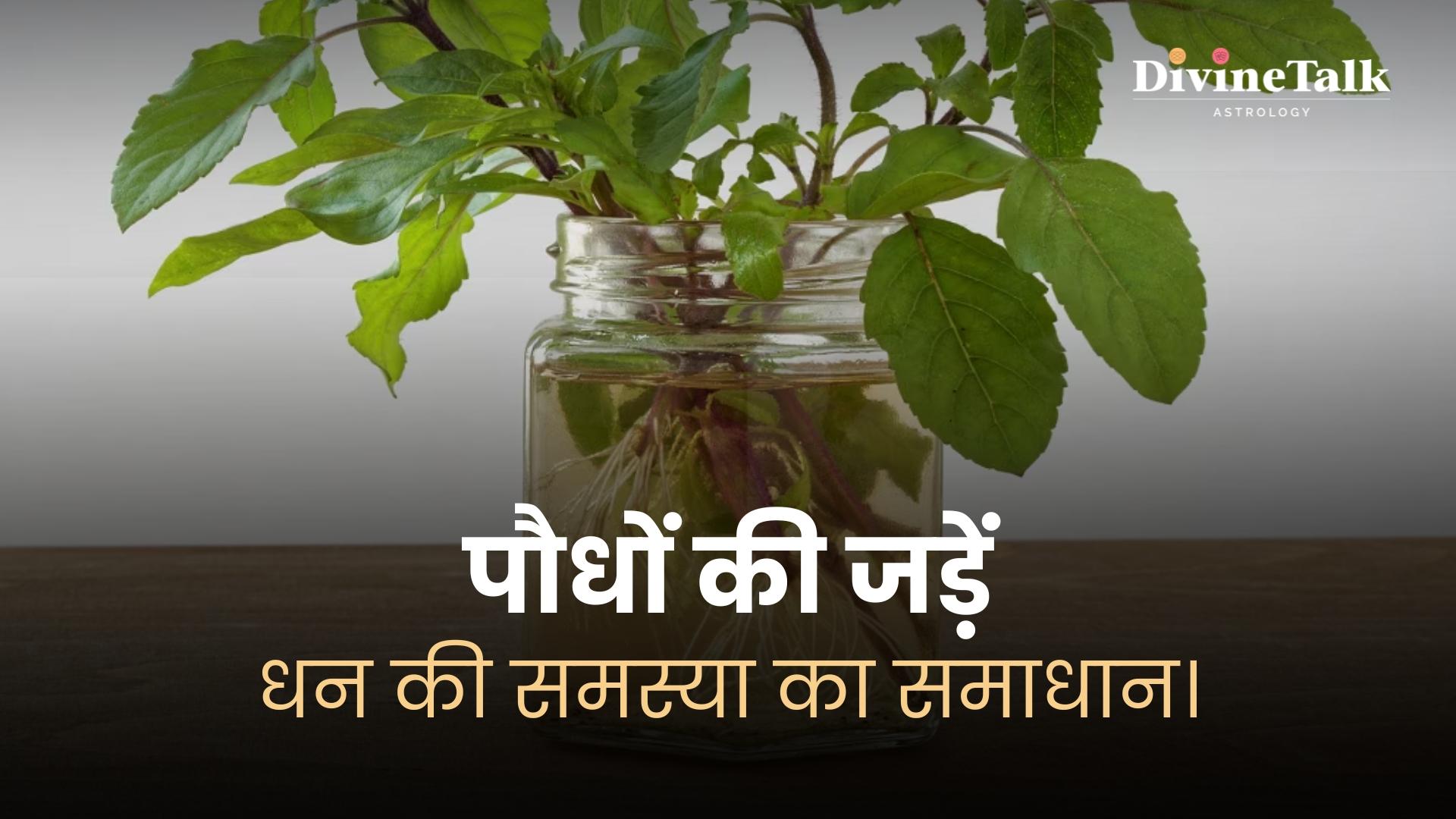 पौधों की जड़ें: धन की समस्या का समाधान।