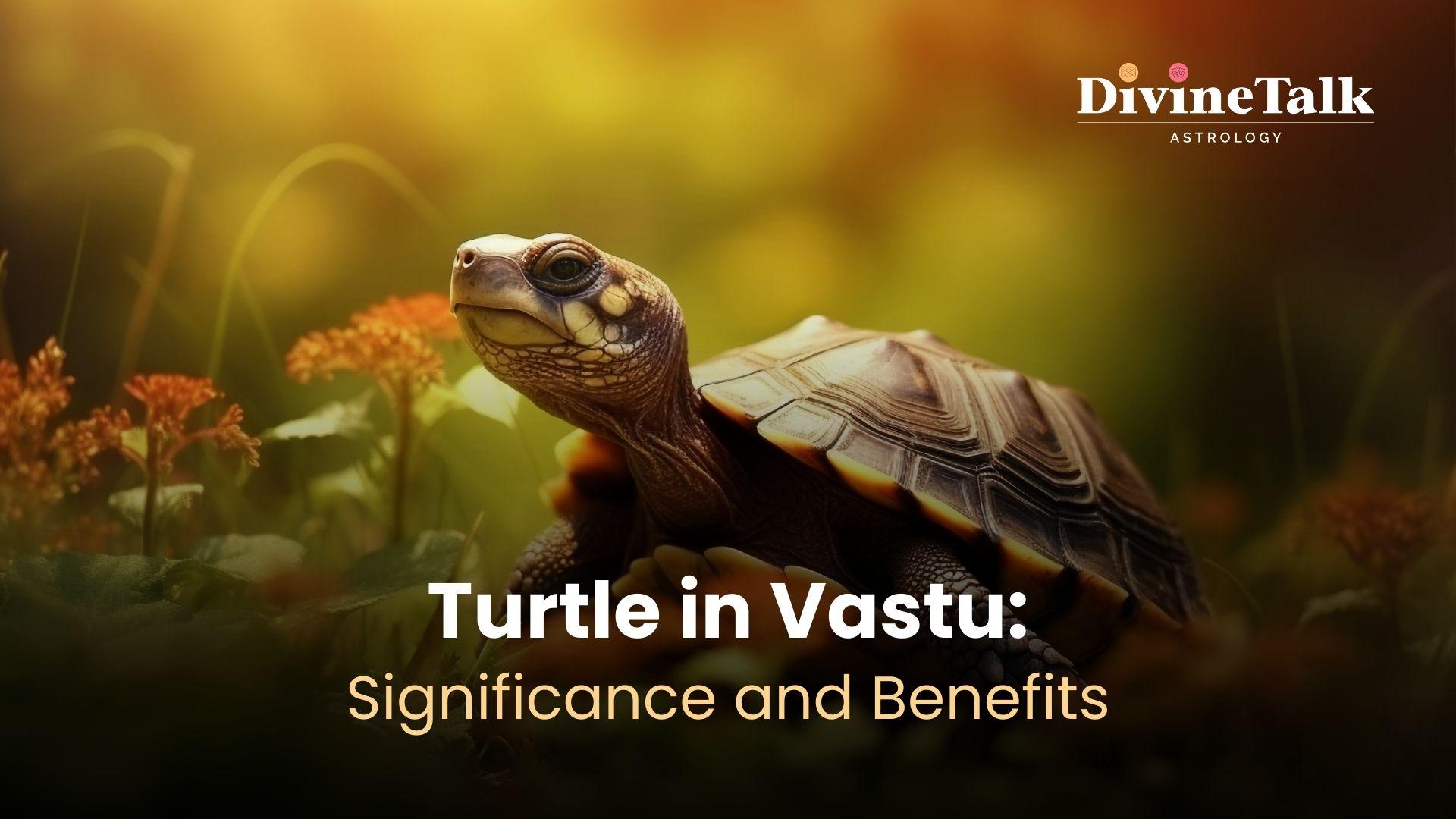 Significance and Benefits of Keeping a Turtle in Vastu