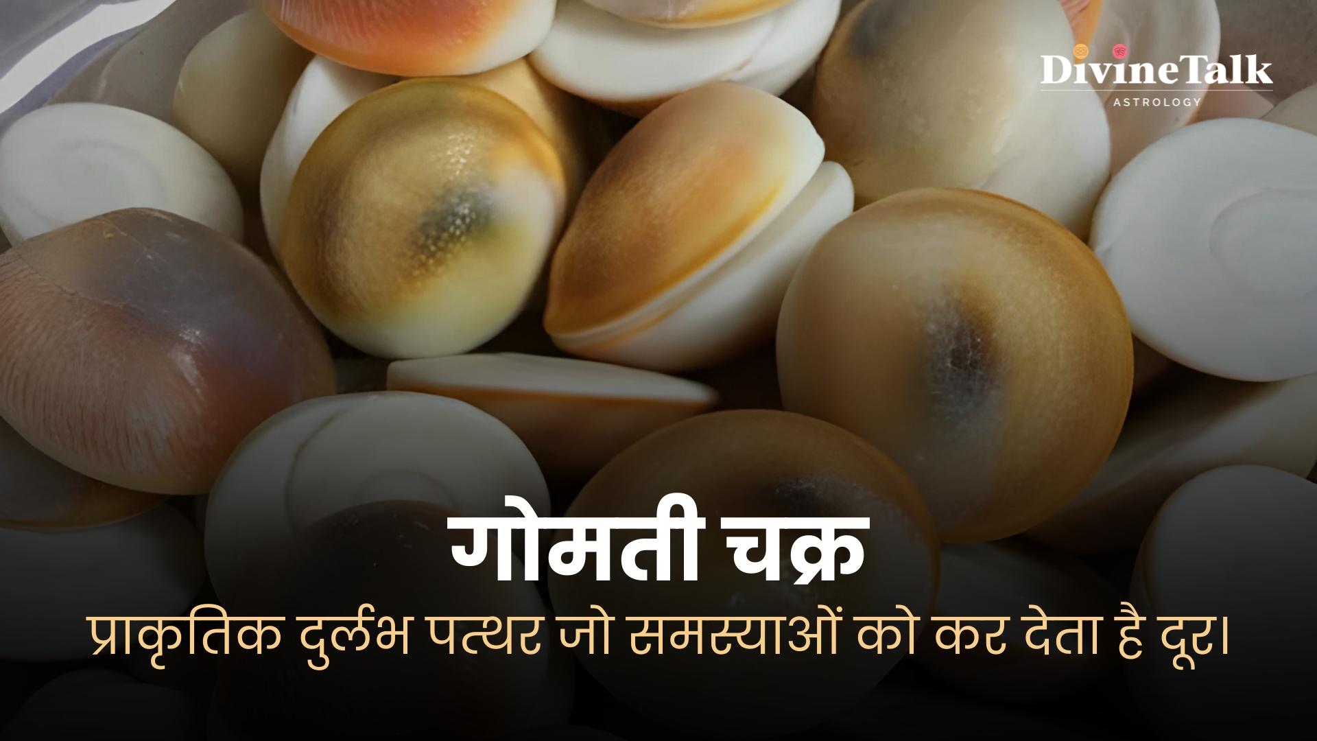 गोमती चक्र: प्राकृतिक दुर्लभ पत्थर जो समस्याओं को कर देता है दूर।