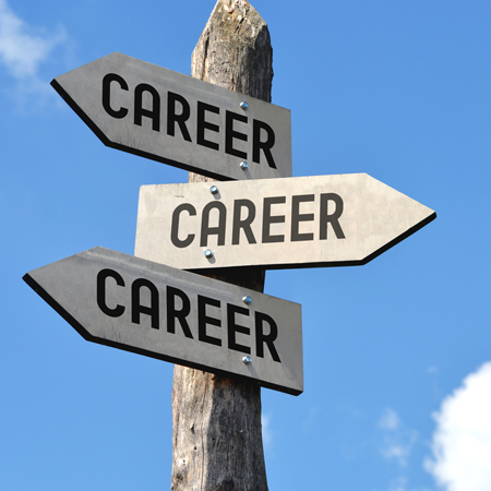 Career