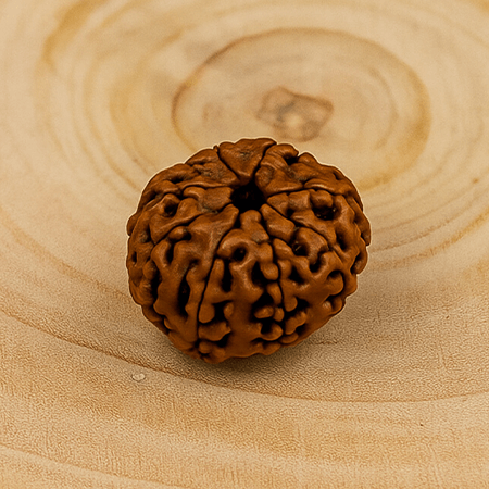 8 Mukhi Rudraksha