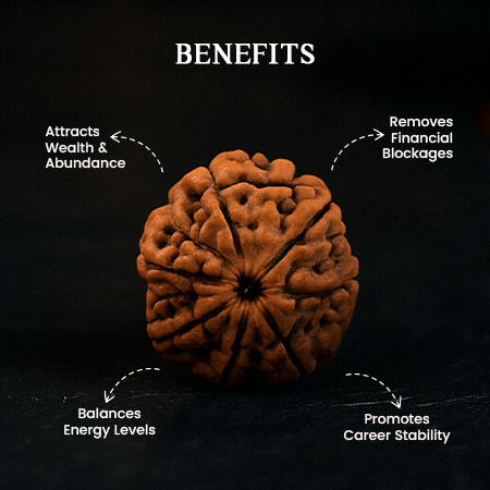 7 Mukhi Rudraksha
