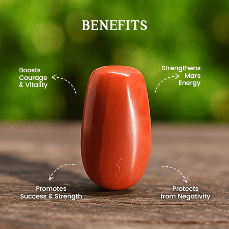Cylindrical Red Coral (Moonga) - 5.5 Ratti