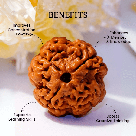 4 Mukhi Rudraksha
